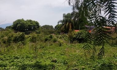 TERRENO EN VENTA AJIJIC CHAPALA