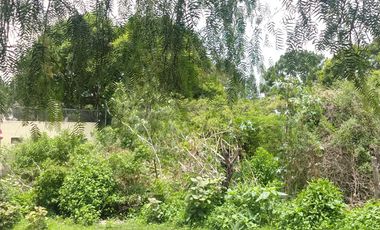TERRENO EN VENTA AJIJIC CHAPALA