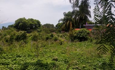 TERRENO EN VENTA AJIJIC CHAPALA