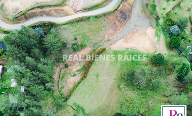 Venta de lote en vereda Lejos del Nido – La Ceja