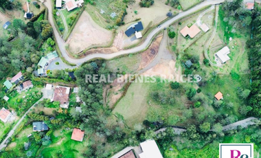 Venta de lote en vereda Lejos del Nido – La Ceja