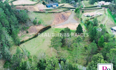 Venta de lote en vereda Lejos del Nido – La Ceja