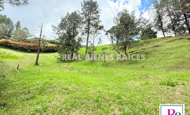 Venta de lote en vereda Lejos del Nido – La Ceja