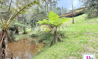 Venta de lote en vereda Lejos del Nido – La Ceja