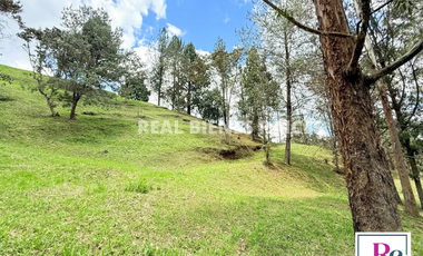 Venta de lote en vereda Lejos del Nido – La Ceja