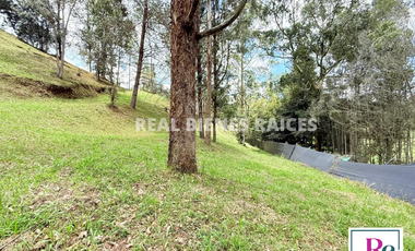 Venta de lote en vereda Lejos del Nido – La Ceja