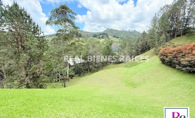 Venta de lote en vereda Lejos del Nido – La Ceja