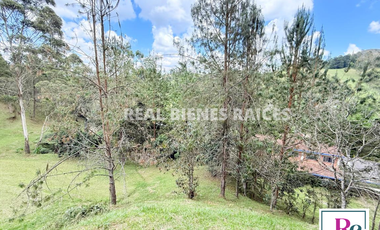 Venta de lote en vereda Lejos del Nido – La Ceja