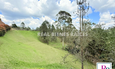 Venta de lote en vereda Lejos del Nido – La Ceja
