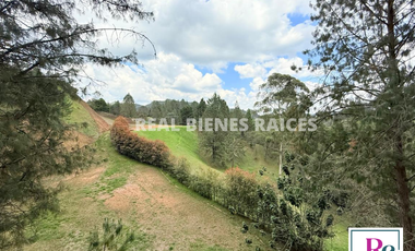 Venta de lote en vereda Lejos del Nido – La Ceja