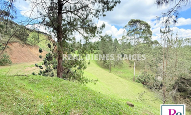 Venta de lote en vereda Lejos del Nido – La Ceja