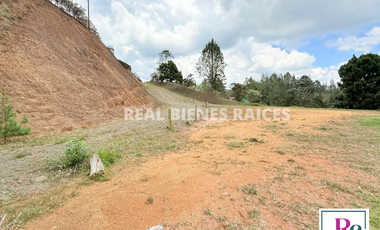 Venta de lote en vereda Lejos del Nido – La Ceja