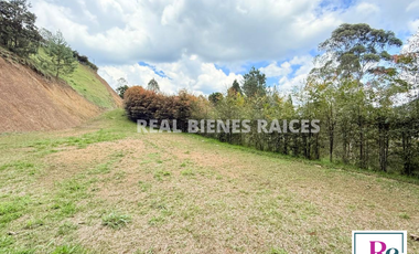 Venta de lote en vereda Lejos del Nido – La Ceja