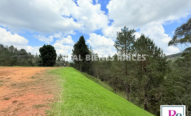 Venta de lote en vereda Lejos del Nido – La Ceja