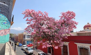 INMUEBLE COMERCIAL EN RENTA EN OAXACA CENTRO