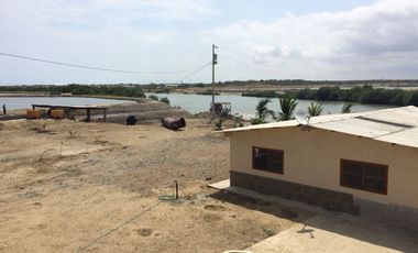 N15 - Camaronera en Venta 80 hectáreas en Santa Elena