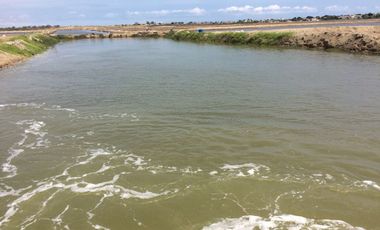 N15 - Camaronera en Venta 80 hectáreas en Santa Elena
