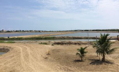 N15 - Camaronera en Venta 80 hectáreas en Santa Elena