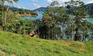HERMOSO LOTE CON INGRESO A LA REPRESA, SAN ROQUE, ANTIOQUIA