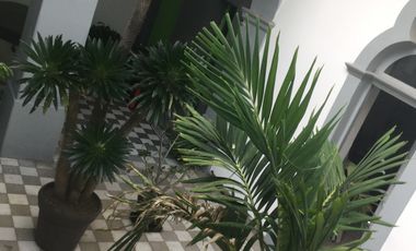 Casa Remodelada  con 6 departamentos en venta Centro Guadalajara