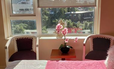 DEPARTAMENTO ESTILO MARIPOSA , EDIF. LOS COLONOS, PUERTO VARAS