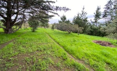 SE VENDE PARCELA CON CASA EN ALTOS DE SANTO DOMINGO