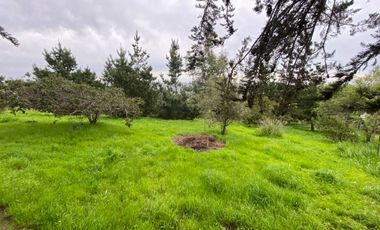 SE VENDE PARCELA CON CASA EN ALTOS DE SANTO DOMINGO