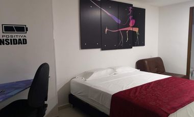 ALQUILER DE APARTAMENTO AMOBLADO LOFT 27