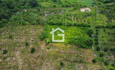 Finca de 49 Has en Venta en Santa Marianita, Arenillas