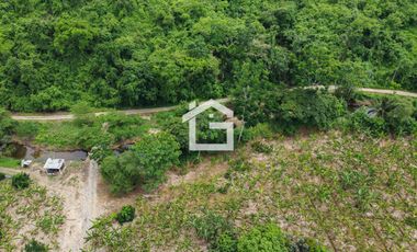 Finca de 49 Has en Venta en Santa Marianita, Arenillas