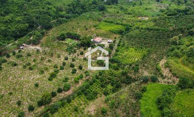 Finca de 49 Has en Venta en Santa Marianita, Arenillas