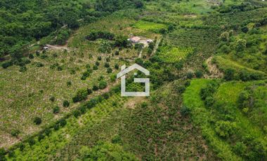Finca de 49 Has en Venta en Santa Marianita, Arenillas