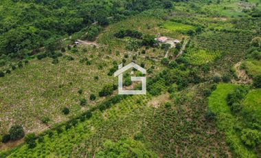 Finca de 49 Has en Venta en Santa Marianita, Arenillas