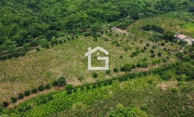 Finca de 49 Has en Venta en Santa Marianita, Arenillas