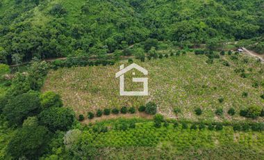 Finca de 49 Has en Venta en Santa Marianita, Arenillas