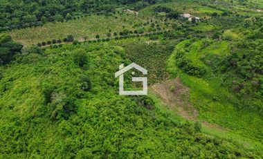Finca de 49 Has en Venta en Santa Marianita, Arenillas