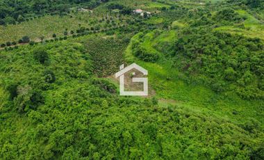 Finca de 49 Has en Venta en Santa Marianita, Arenillas