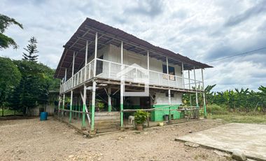 Finca de 49 Has en Venta en Santa Marianita, Arenillas