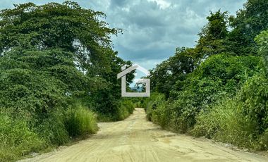 Finca de 49 Has en Venta en Santa Marianita, Arenillas