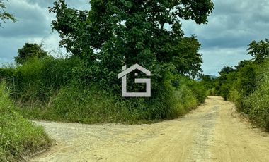 Finca de 49 Has en Venta en Santa Marianita, Arenillas