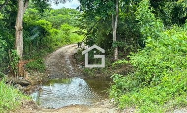 Finca de 49 Has en Venta en Santa Marianita, Arenillas