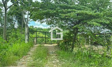 Finca de 49 Has en Venta en Santa Marianita, Arenillas