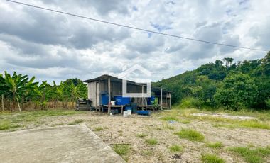 Finca de 49 Has en Venta en Santa Marianita, Arenillas