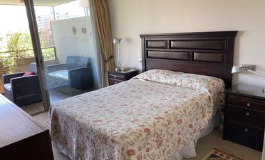 Hermoso Departamento Pocuro Con Amplia Terraza Providencia