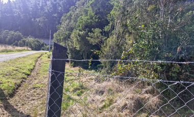 PARCELA, ETAPA 1, HACIENDA CHAMIZA, PUERTO MONTT