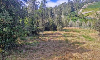 PARCELA, ETAPA 1, HACIENDA CHAMIZA, PUERTO MONTT