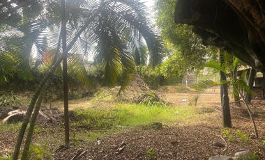 TERRENO MUY BIEN UBICADO EN CUAUTLA