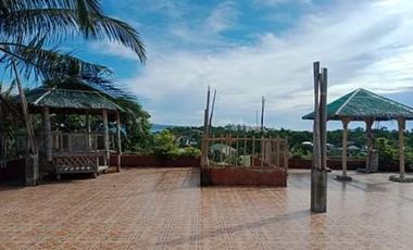 Boracay Villa with Swimming Pool -  For Commercial / Residential