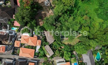 Prime 20-Are Land in Padonan, Canggu – Ideal for Investment