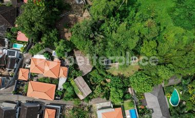 Prime 20-Are Land in Padonan, Canggu – Ideal for Investment